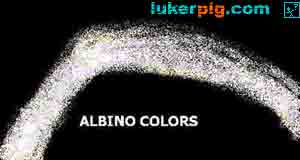 the albino colors rainbow