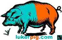a blue green, orange, and black bulging pig